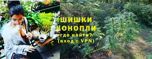кокс Гусев