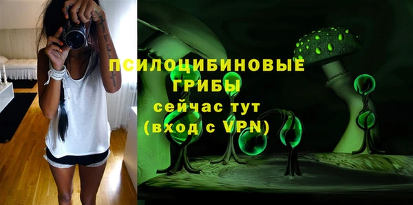 кокс Гусев