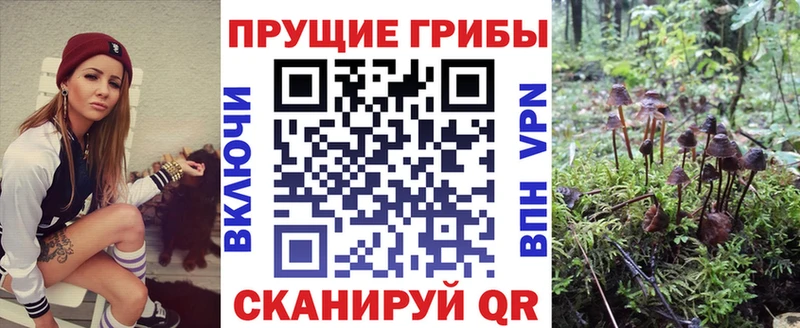 Купить  Инза  Галлюциногенные грибы Psilocybine cubensis 